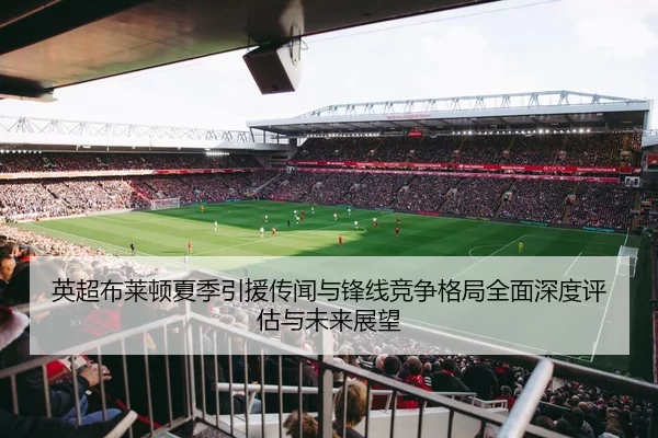 英超布莱顿夏季引援传闻与锋线竞争格局全面深度评估与未来展望